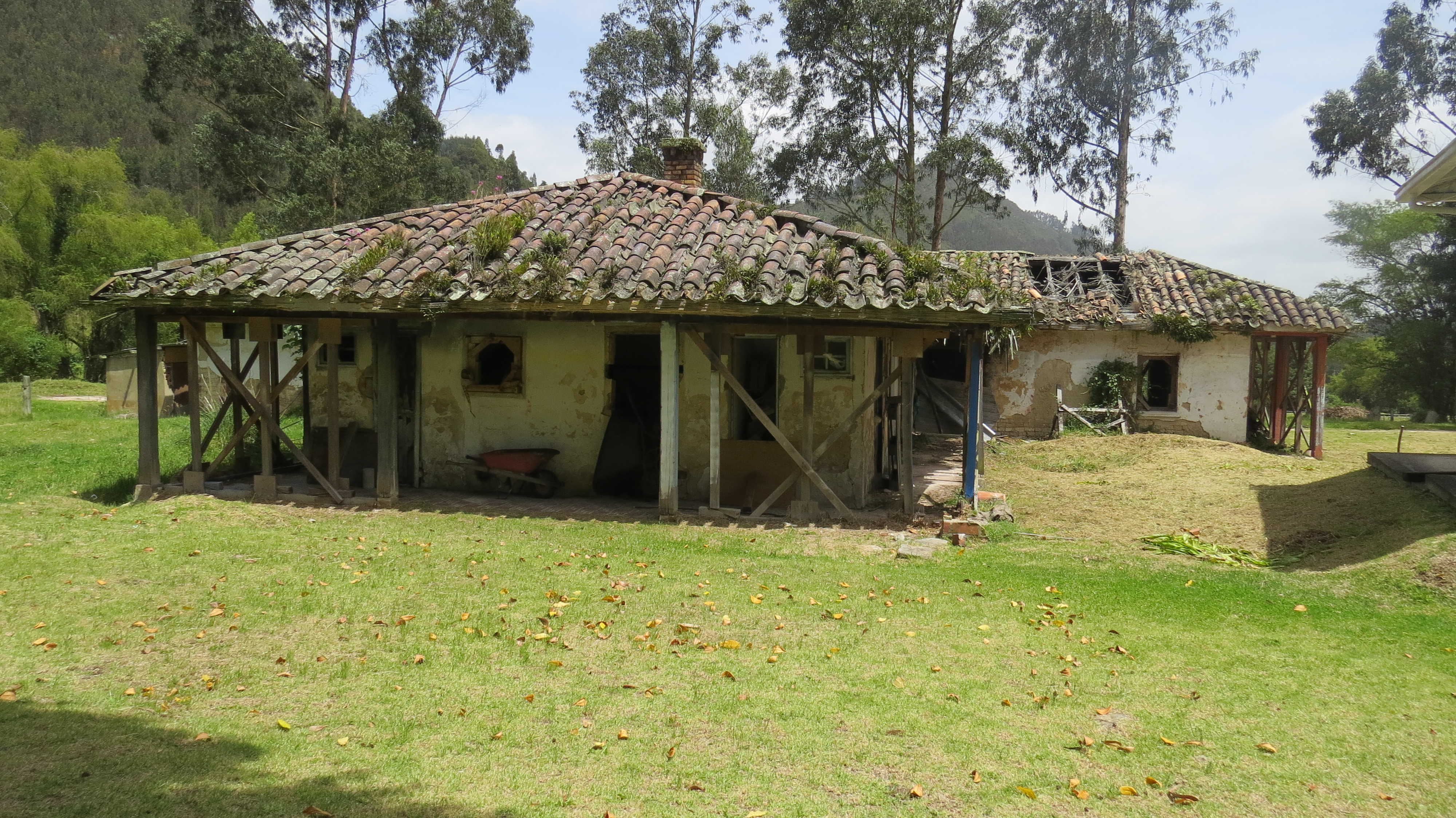 Apuntalamiento de Estructuras Colapsadas